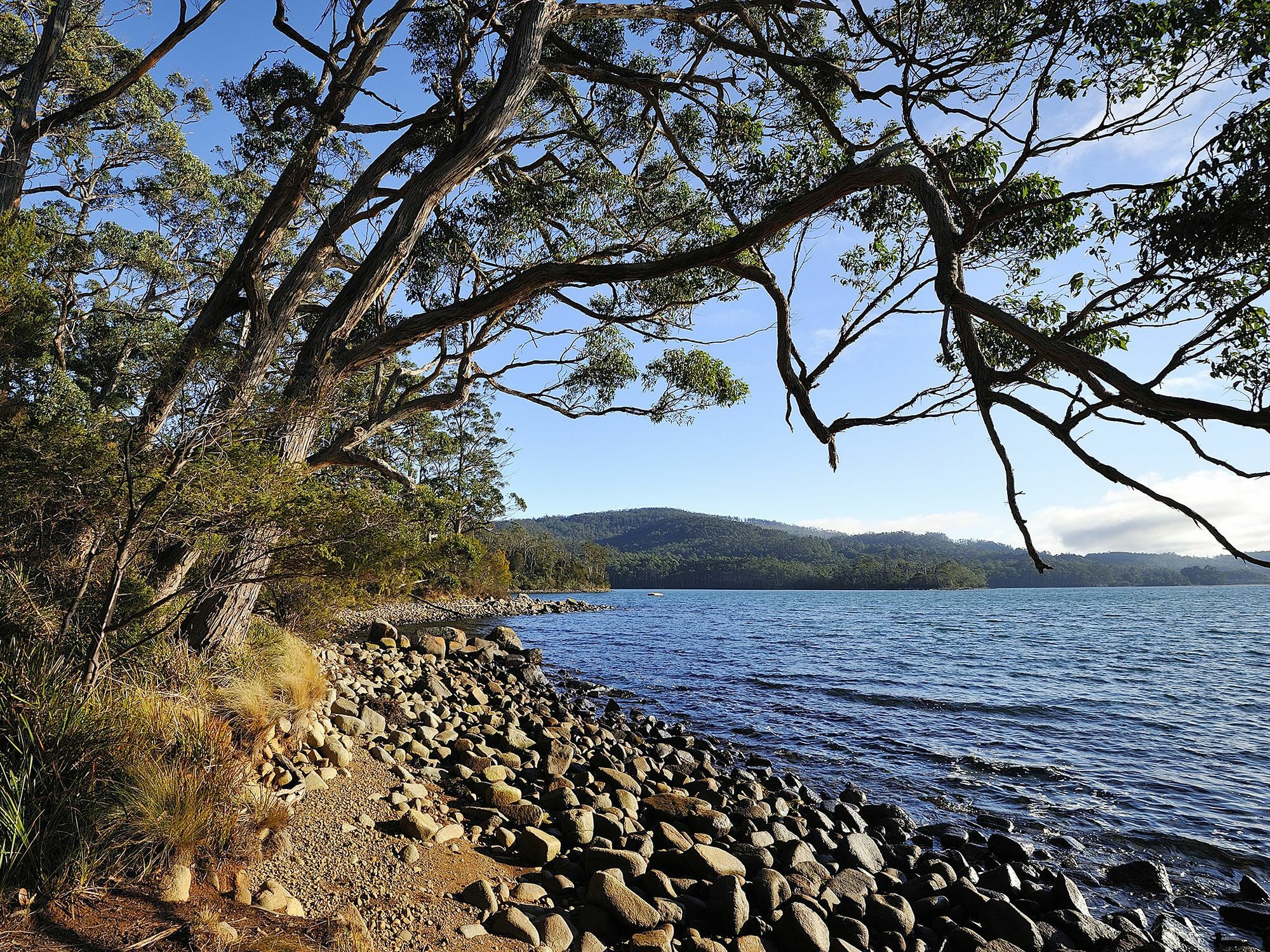 Nrma Port Arthur Holiday Park Exterior foto